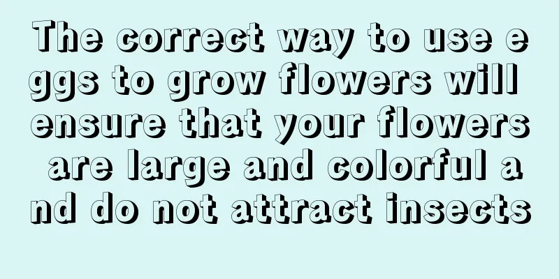 The correct way to use eggs to grow flowers will ensure that your flowers are large and colorful and do not attract insects