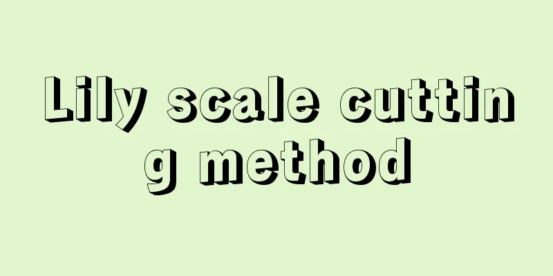 Lily scale cutting method