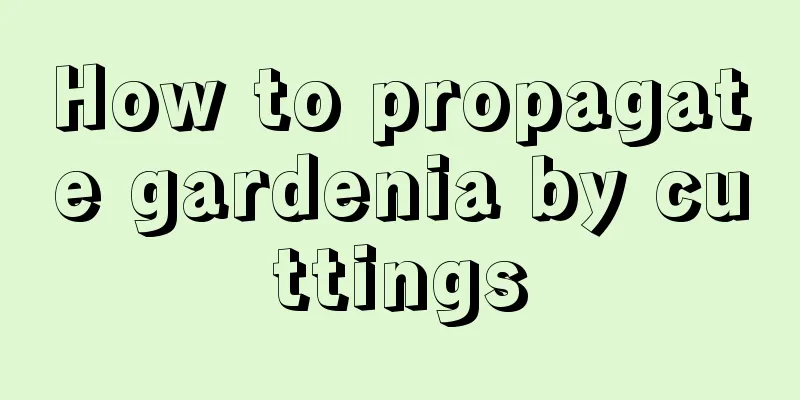 How to propagate gardenia by cuttings