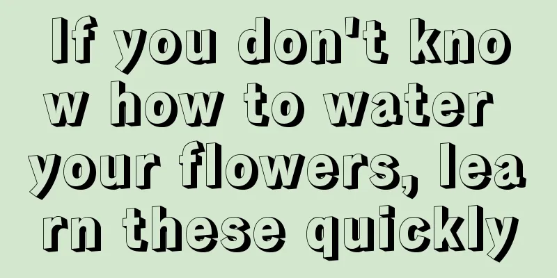 If you don't know how to water your flowers, learn these quickly