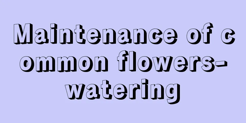 Maintenance of common flowers-watering