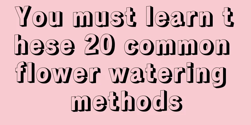 You must learn these 20 common flower watering methods