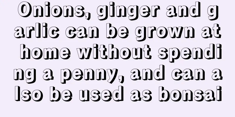 Onions, ginger and garlic can be grown at home without spending a penny, and can also be used as bonsai