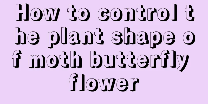 How to control the plant shape of moth butterfly flower