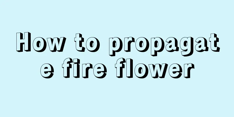 How to propagate fire flower