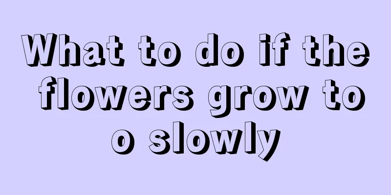 What to do if the flowers grow too slowly