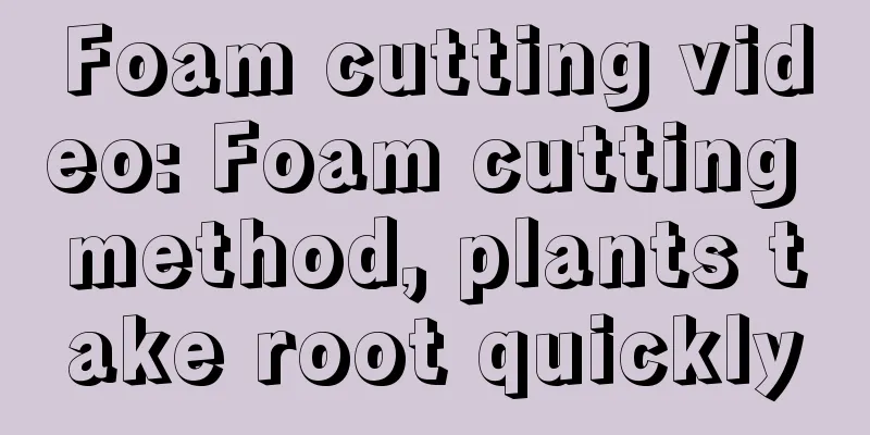 Foam cutting video: Foam cutting method, plants take root quickly