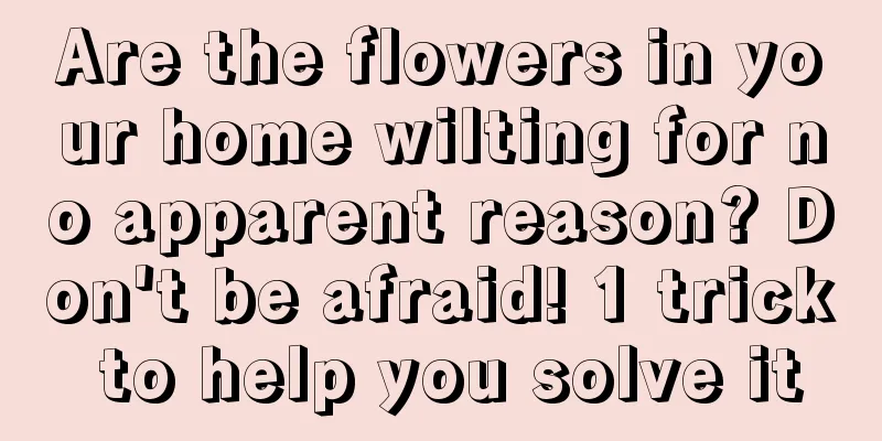 Are the flowers in your home wilting for no apparent reason? Don't be afraid! 1 trick to help you solve it