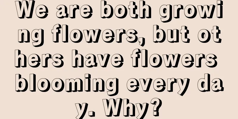 We are both growing flowers, but others have flowers blooming every day. Why?