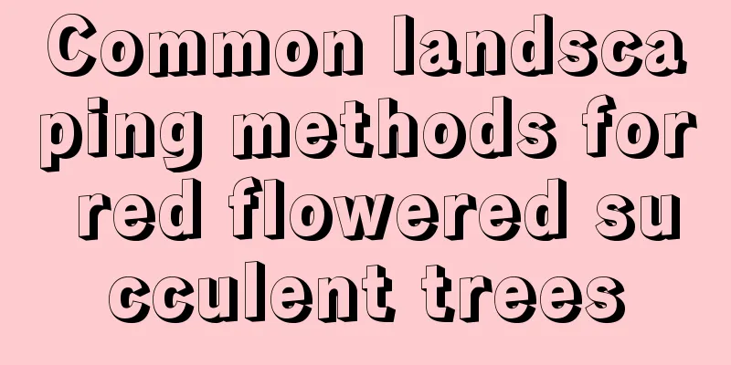 Common landscaping methods for red flowered succulent trees