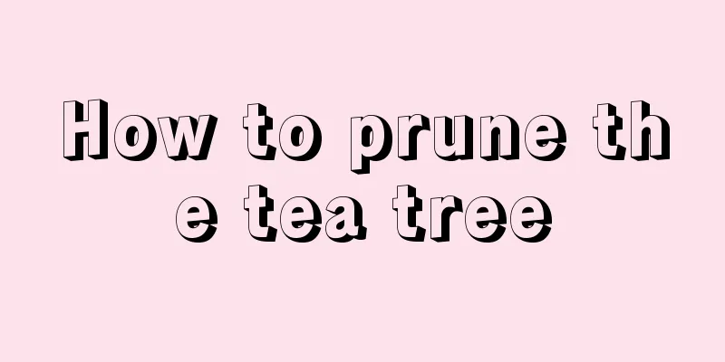 How to prune the tea tree