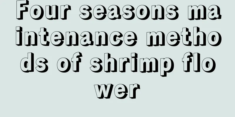 Four seasons maintenance methods of shrimp flower