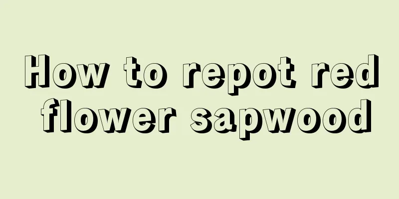 How to repot red flower sapwood