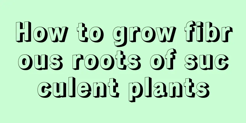 How to grow fibrous roots of succulent plants