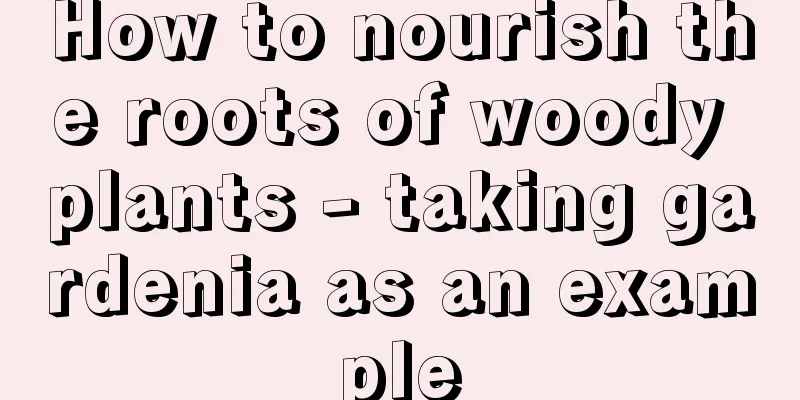 How to nourish the roots of woody plants - taking gardenia as an example