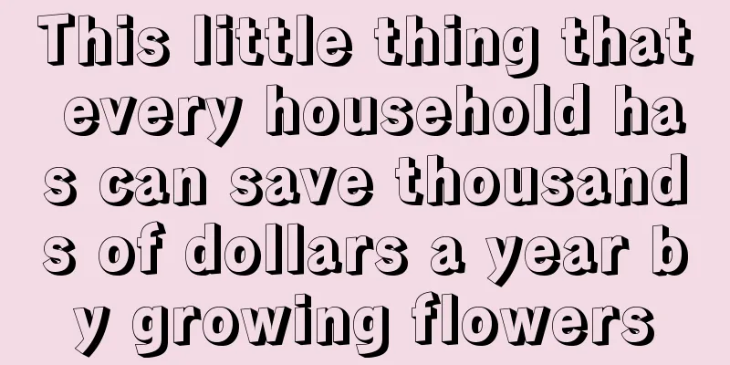 This little thing that every household has can save thousands of dollars a year by growing flowers