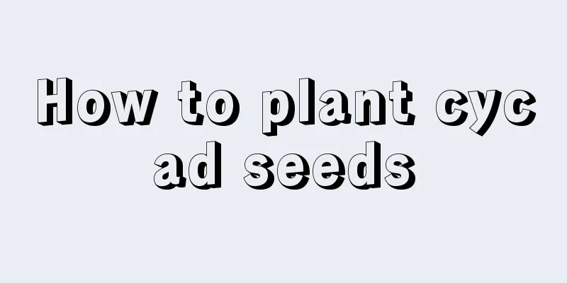 How to plant cycad seeds