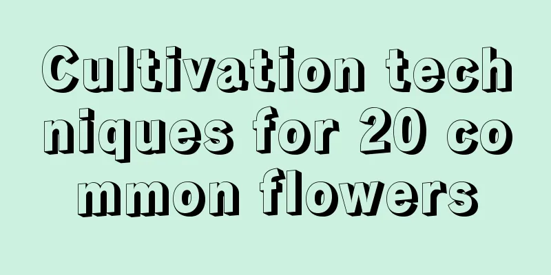 Cultivation techniques for 20 common flowers