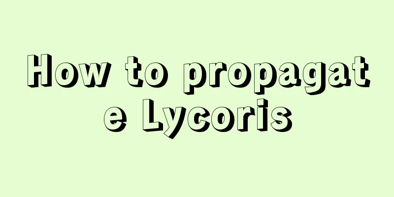 How to propagate Lycoris