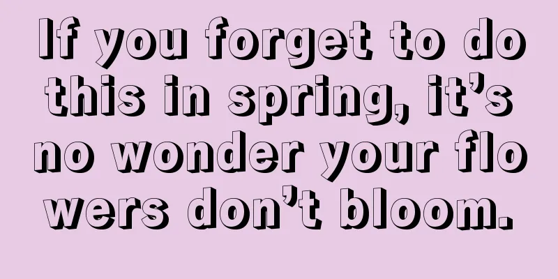 If you forget to do this in spring, it’s no wonder your flowers don’t bloom.