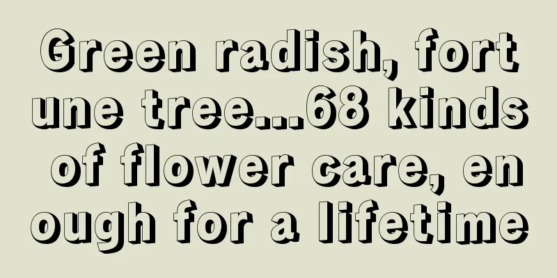 Green radish, fortune tree...68 kinds of flower care, enough for a lifetime