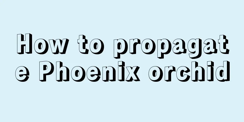 How to propagate Phoenix orchid