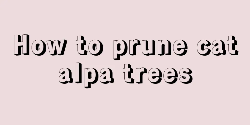 How to prune catalpa trees