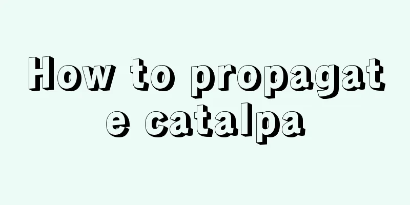 How to propagate catalpa