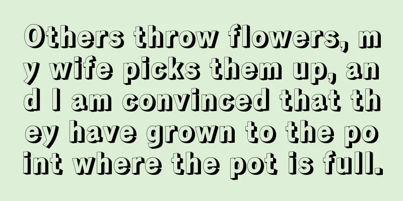 Others throw flowers, my wife picks them up, and I am convinced that they have grown to the point where the pot is full.