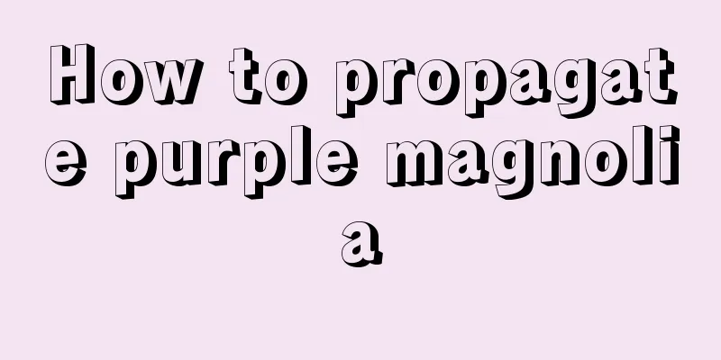 How to propagate purple magnolia