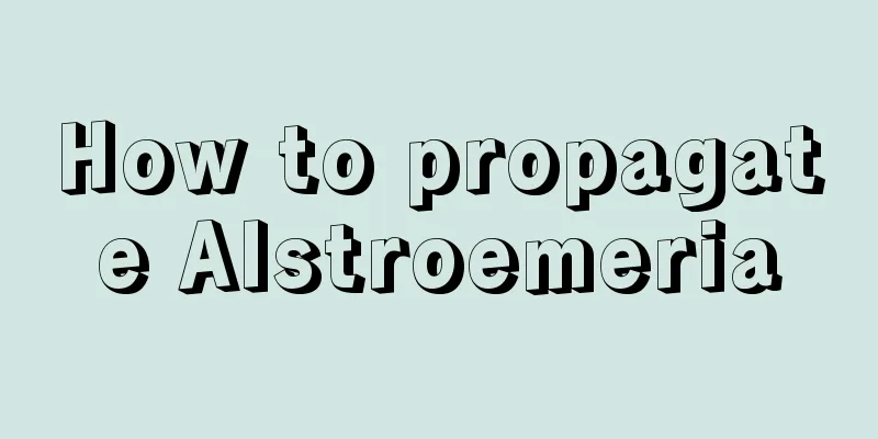 How to propagate Alstroemeria