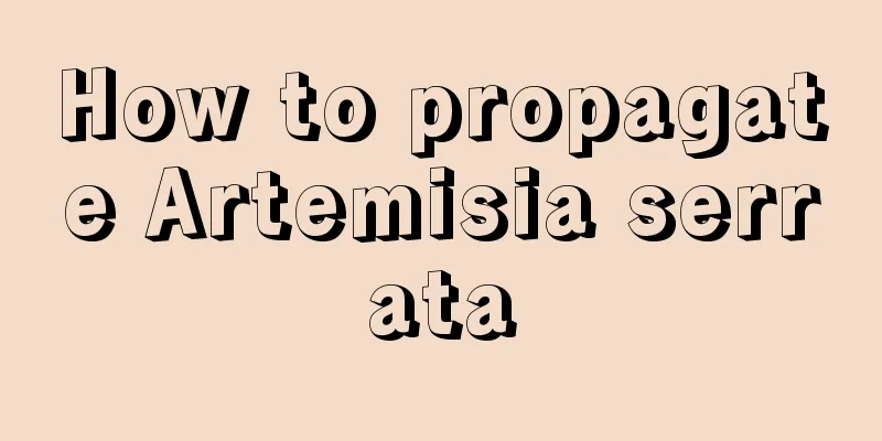 How to propagate Artemisia serrata