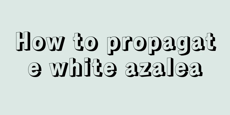 How to propagate white azalea