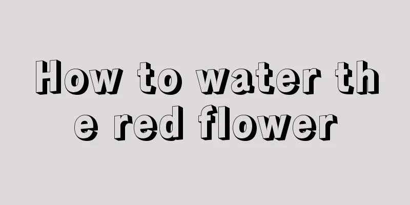 How to water the red flower