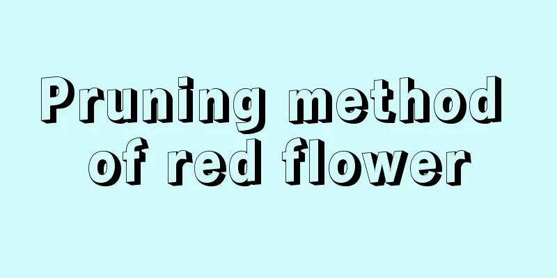 Pruning method of red flower