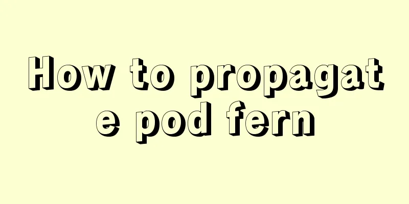 How to propagate pod fern