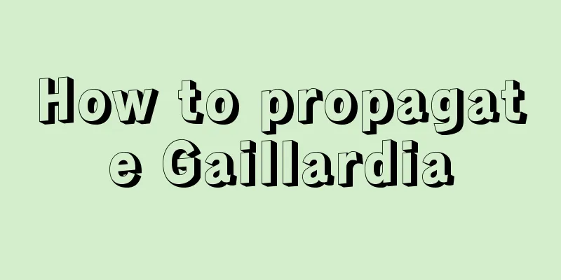 How to propagate Gaillardia