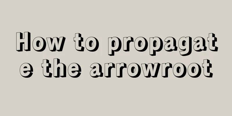 How to propagate the arrowroot