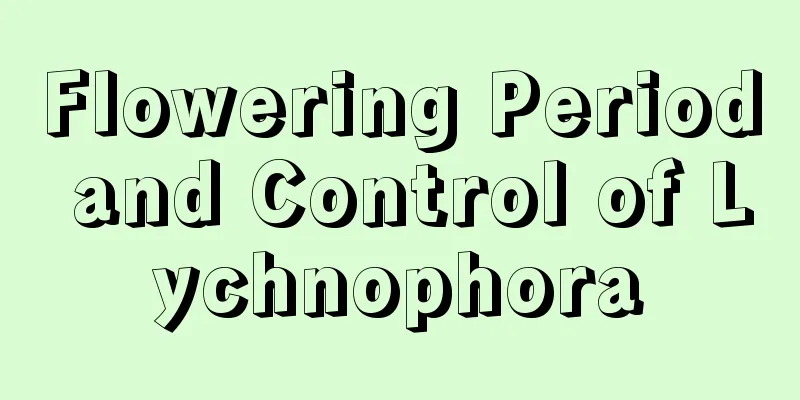 Flowering Period and Control of Lychnophora