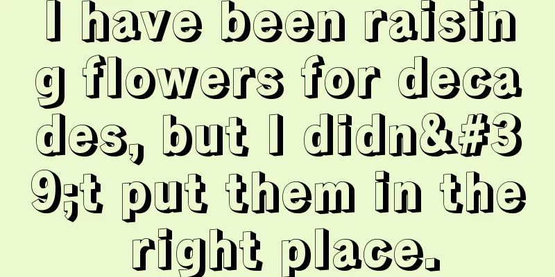 I have been raising flowers for decades, but I didn't put them in the right place.