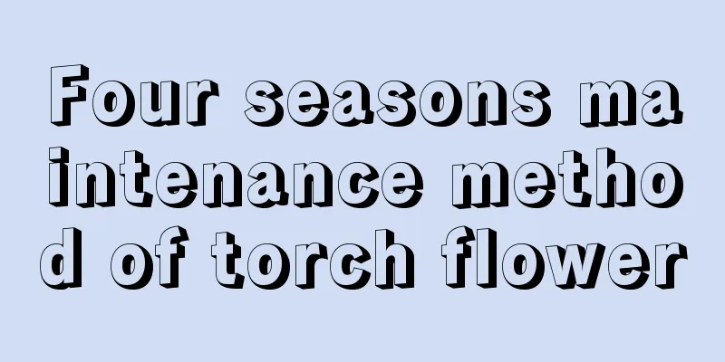 Four seasons maintenance method of torch flower