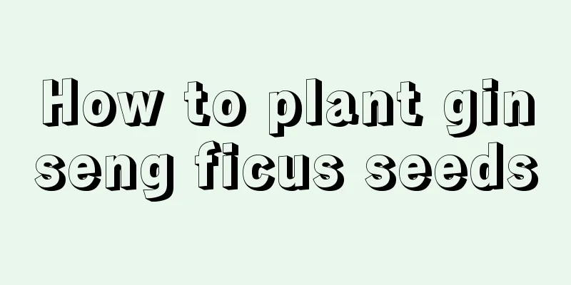 How to plant ginseng ficus seeds