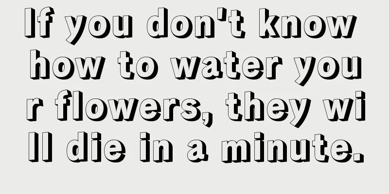 If you don't know how to water your flowers, they will die in a minute.