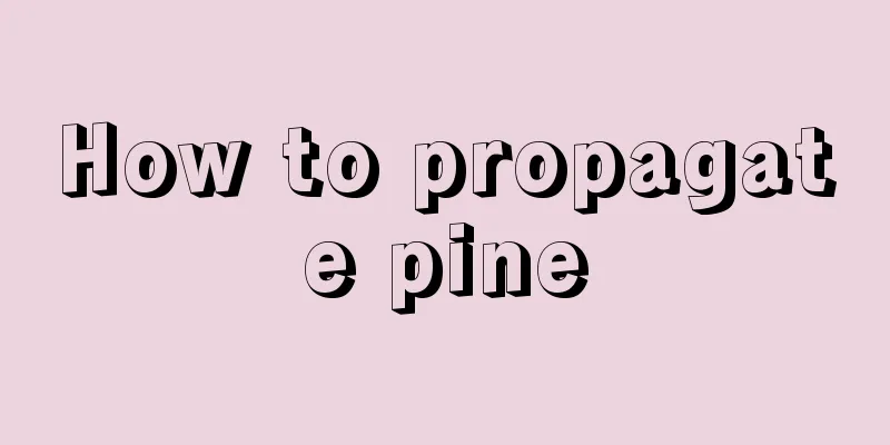 How to propagate pine