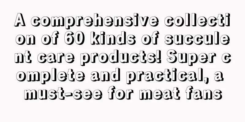 A comprehensive collection of 60 kinds of succulent care products! Super complete and practical, a must-see for meat fans