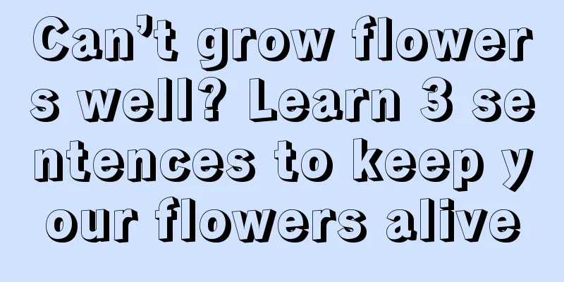 Can’t grow flowers well? Learn 3 sentences to keep your flowers alive