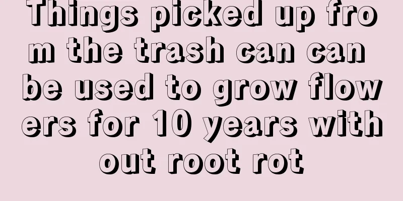 Things picked up from the trash can can be used to grow flowers for 10 years without root rot