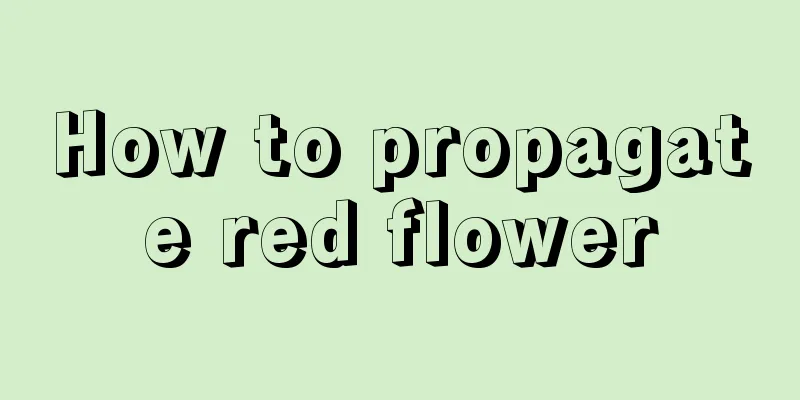 How to propagate red flower