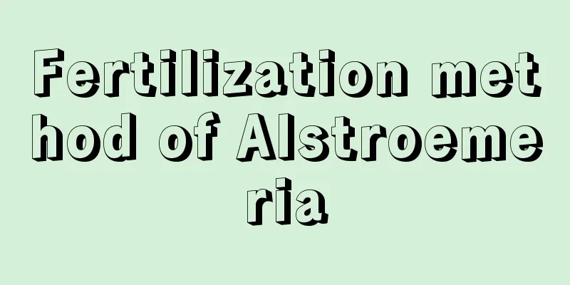 Fertilization method of Alstroemeria