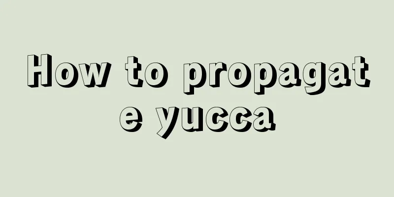 How to propagate yucca